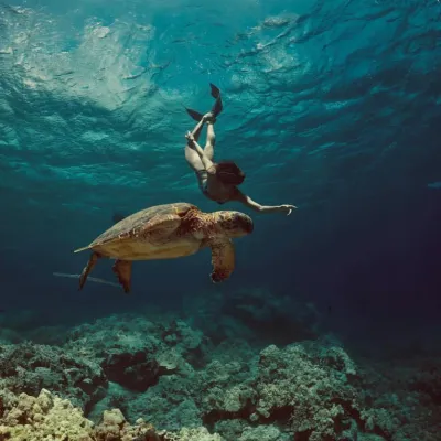 a person swimming in a pool of water