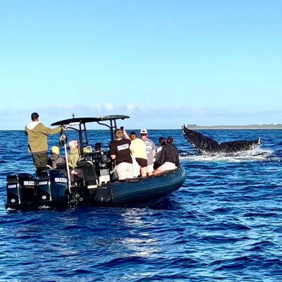 a group of people in a small boat in a body of water