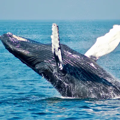 water next to the ocean