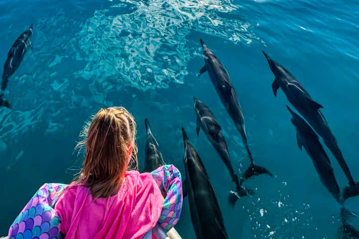 Child in life jacket watching dolphins swim beside a boat in clear blue water.