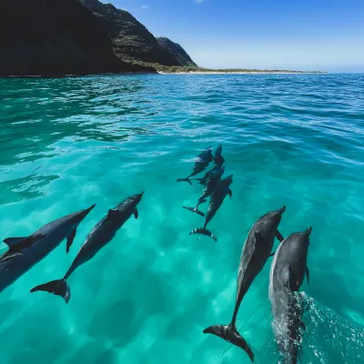 a flock of seagulls are swimming in the water