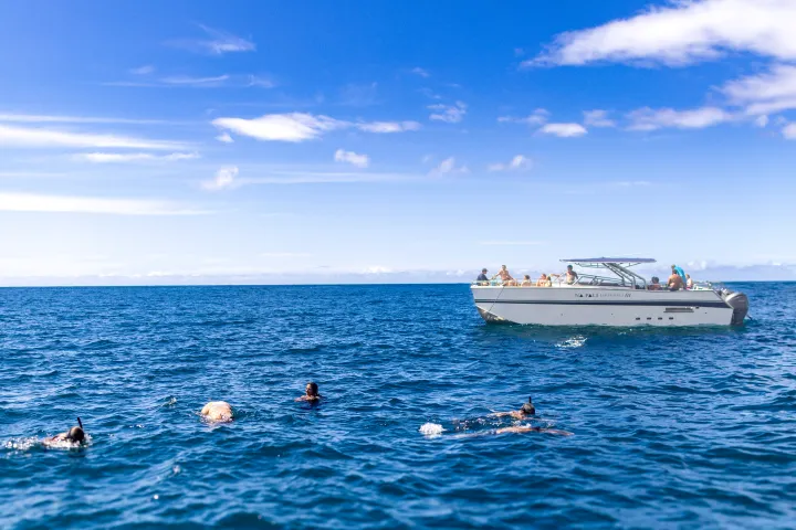 Swimmers snorkeling in open sea near a motorboat under a clear blue sky.