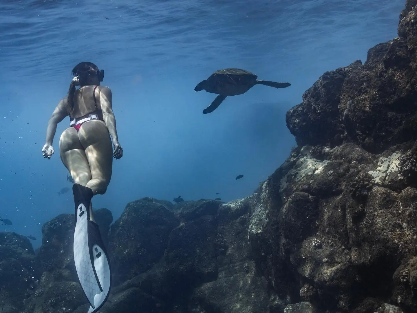 a group of people swimming in the water