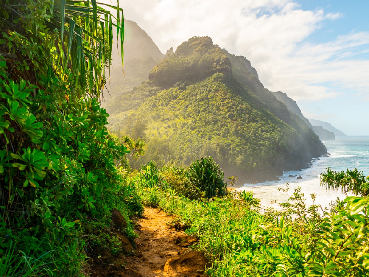 a body of water surrounded by trees