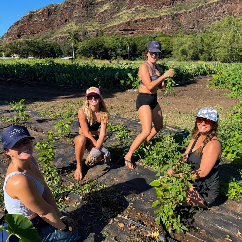 Four people gardening in a field with a mountain backdrop on a sunny day.