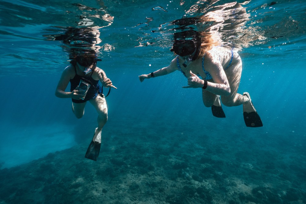 Two people snorkeling underwater with fins and masks in clear blue water.